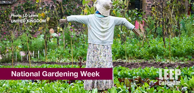 No image found UK_Gardening_WeekE.webp