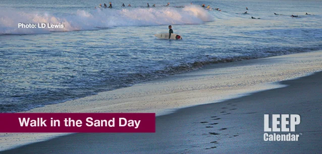 No image found Walk_in_the_Sand_DayE.webp