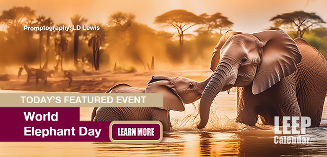 No Image found . This Image is about the event Elephant Day, World: August 12   . Click on the event name to see the event detail.