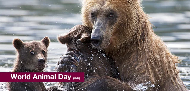 No image found World_Animal_DayE.webp