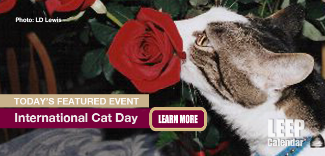 No Image found . This Image is about the event Cat Day, Intl.: August 8. Click on the event name to see the event detail.