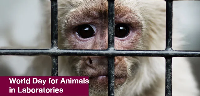No image found World_Day_for_Animals_in_LaboratoriesE.webp