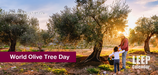 No image found World_Olive_Tree_DayE.png