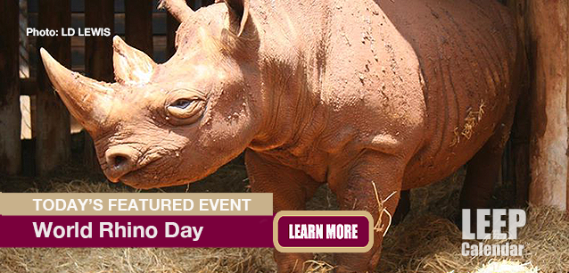 No Image found . This Image is about the event Rhino Day, World: September 22. Click on the event name to see the event detail.