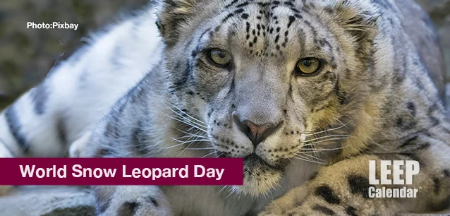 No image found World_Snow_Leopard_DayE.webp