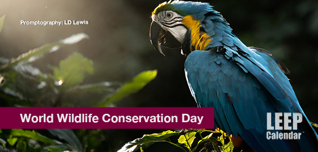 No image found World_Wildlife_Conservation_DayE.png