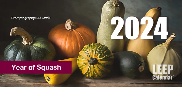 No image found Year_of_SquashE.webp